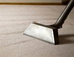 steam cleaning carpeting